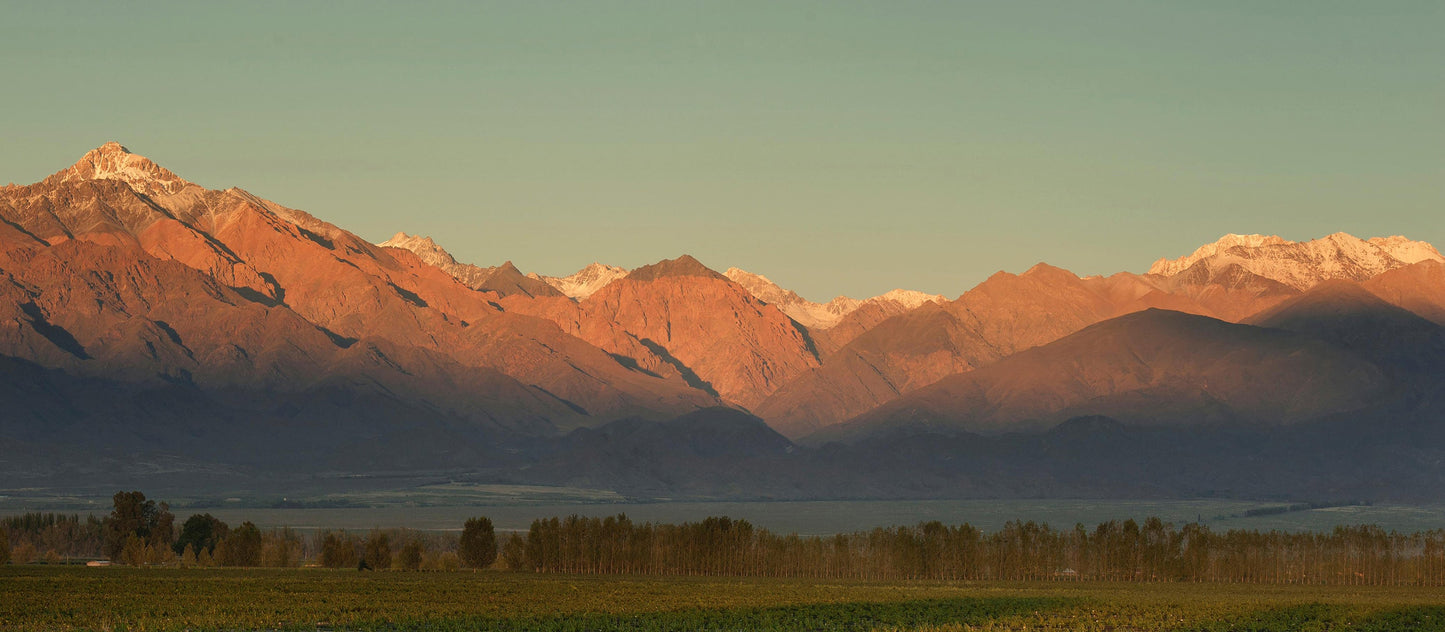 Argentina - Altamira, Uco Valley